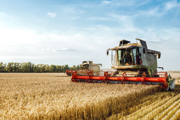 Lire la suite à propos de l’article Vente d’entreprise agricole : le statut, ça compte !