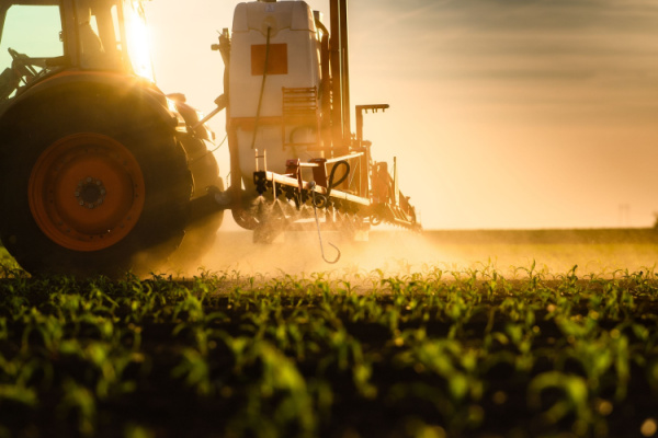 Lire la suite à propos de l’article Prosulfocarbe : herbicide toujours autorisé, mais plus encadré