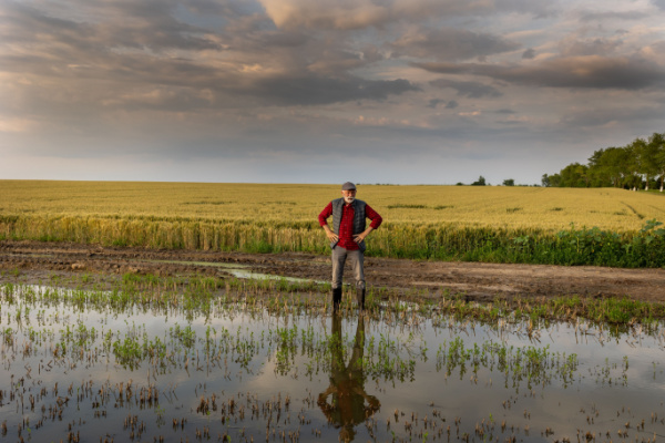 You are currently viewing Calamités agricoles 2023 : à épisodes exceptionnels, indemnisation exceptionnelle