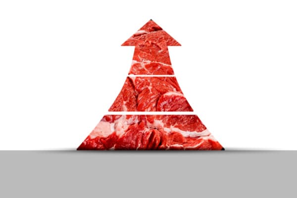 Lire la suite à propos de l’article Prix de la viande : hausse en vue ?