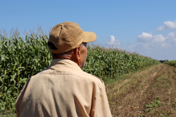 You are currently viewing Bail rural : le consentement du bailleur en question…