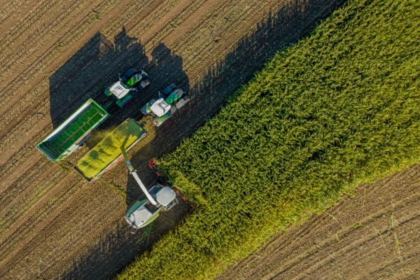 Lire la suite à propos de l’article Bail rural : payer ses fermages en fonction de ses récoltes ?