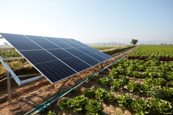 Lire la suite à propos de l’article Agrivoltaïque : le cadre est posé