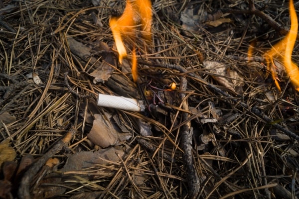 You are currently viewing Prévention des incendies de forêts : la responsabilité élargie des producteurs (REP) du tabac est mise au travail !