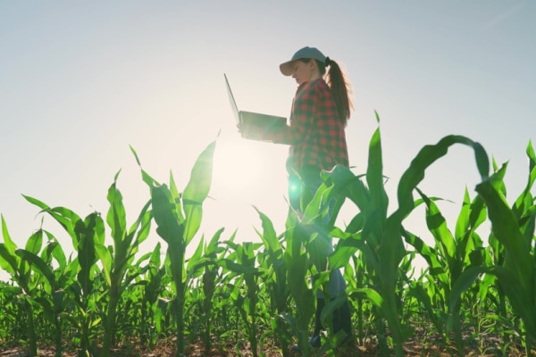 You are currently viewing Dirigeants agricoles : quelle nouveauté pour votre déclaration de revenus ?