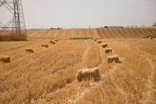 You are currently viewing Un exploitant agricole… qui ne l’est pas vraiment ?