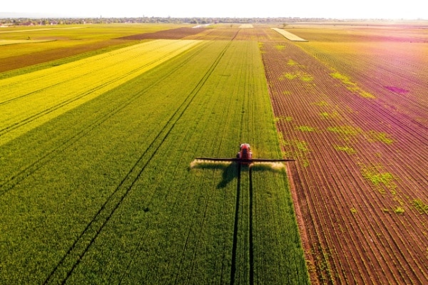 Lire la suite à propos de l’article Perte de récolte des agriculteurs : des mesures de soutien annoncées