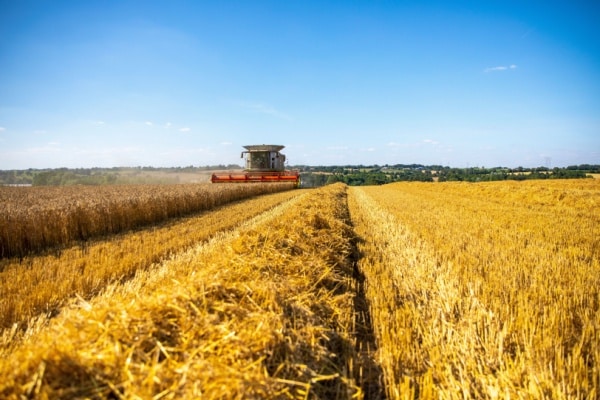 Lire la suite à propos de l’article Secteur agricole : ce qui va changer en 2025