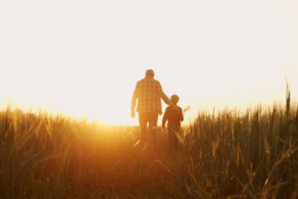 Lire la suite à propos de l’article Pension d’orphelin : aussi pour les enfants d’agriculteurs !