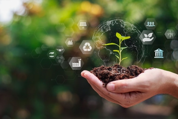 Lire la suite à propos de l’article Agriculture : aides financières et respect de l’environnement