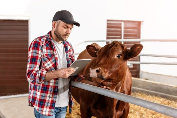 Lire la suite à propos de l’article Agriculture : point sur la situation