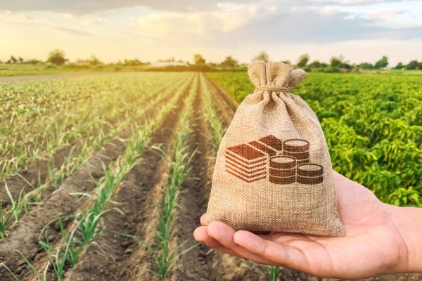 Lire la suite à propos de l’article Jeunes agriculteurs : du nouveau du côté des exonérations sociales !