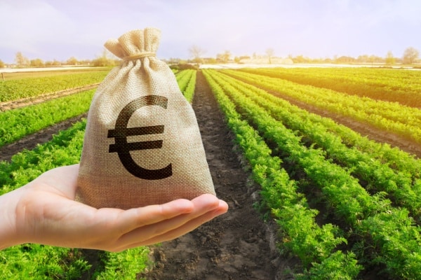 You are currently viewing Agriculture : précisions sur les aides écorégime