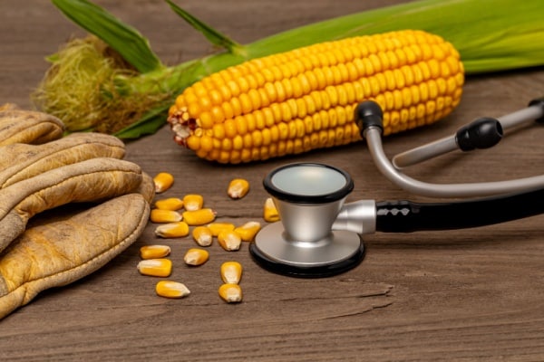 Lire la suite à propos de l’article Travailleurs agricoles : bientôt du nouveau en matière de suivi de l’état de santé !