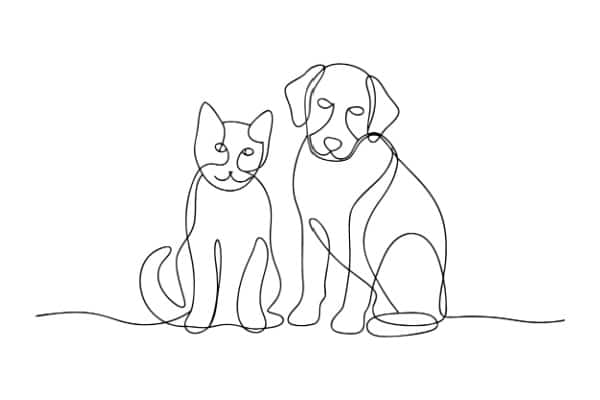 Lire la suite à propos de l’article Activités liées aux animaux de compagnie : une réglementation partiellement décalée…