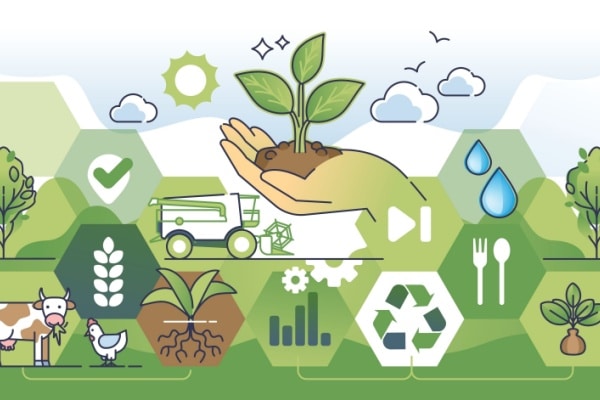 Lire la suite à propos de l’article Les principales nouveautés sociales en 2026 pour le secteur agricole