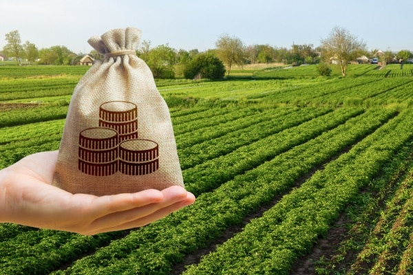 Lire la suite à propos de l’article Impôts et taxes pour le secteur agricole : ce qui va changer en 2026