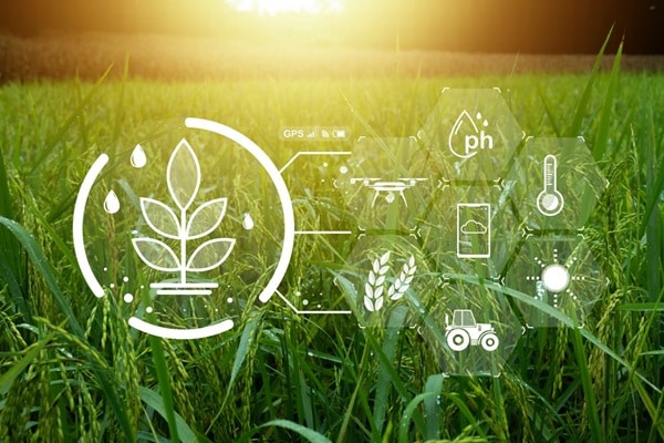 Lire la suite à propos de l’article BCAE : une dérogation pour s’adapter au climat