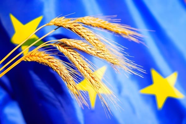 Lire la suite à propos de l’article Bonnes conditions agricoles et environnementales : une nouvelle définition de la haie