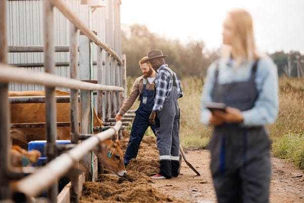 Lire la suite à propos de l’article Maladies professionnelles agricoles : les conditions de diagnostic sont simplifiées